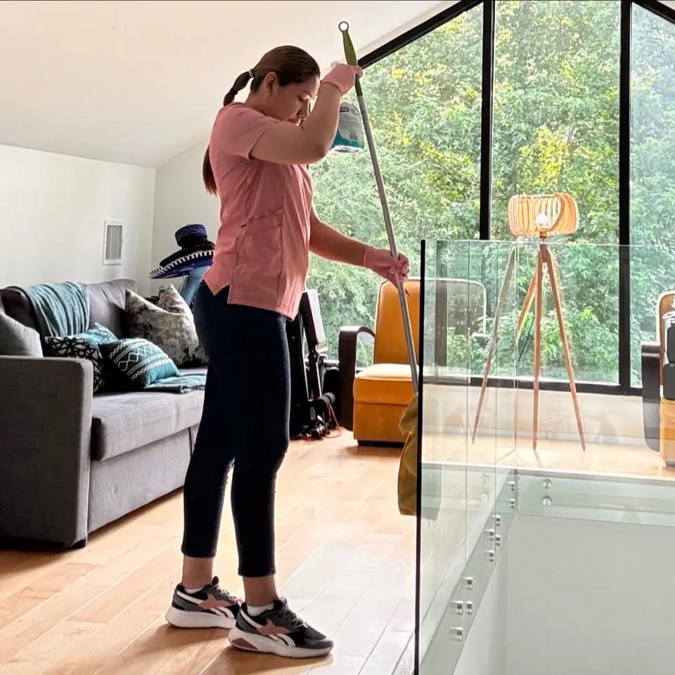 Window Washing